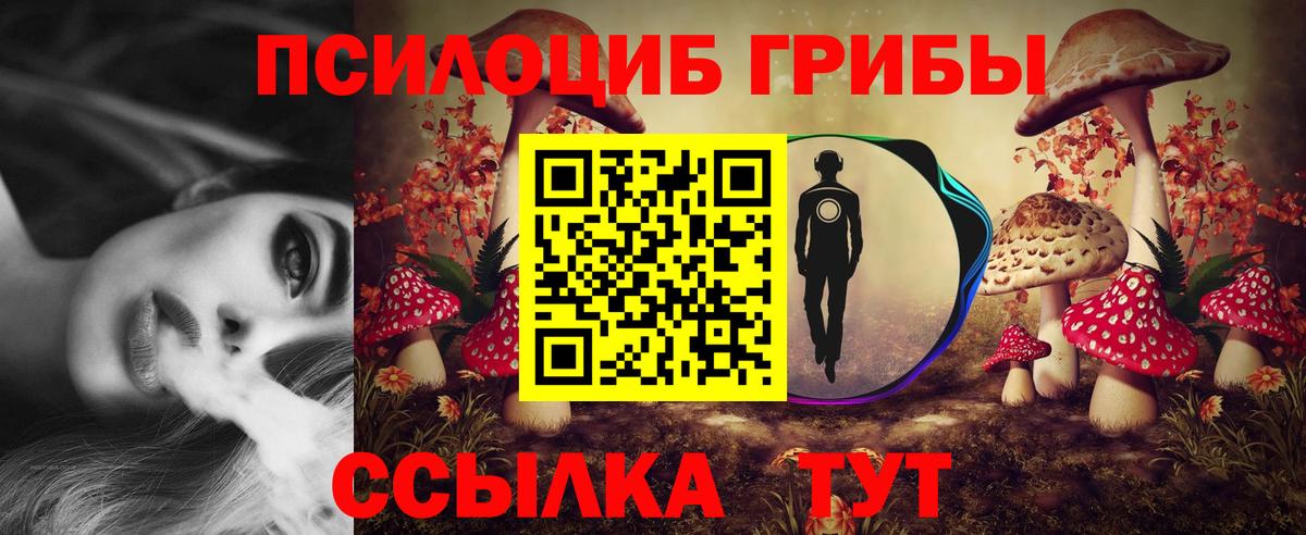 Галлюциногенные грибы Magic Shrooms Железноводск