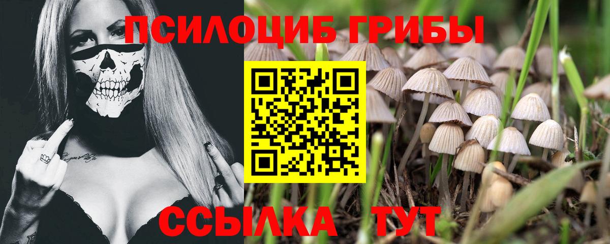 Железноводск  дарнет шоп  Вход с VPN  Галлюциногенные грибы GOLDEN TEACHER  Галлюциногенные грибы GOLDEN TEACHER 